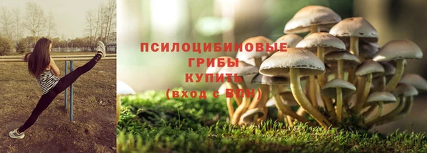 дживик Балахна