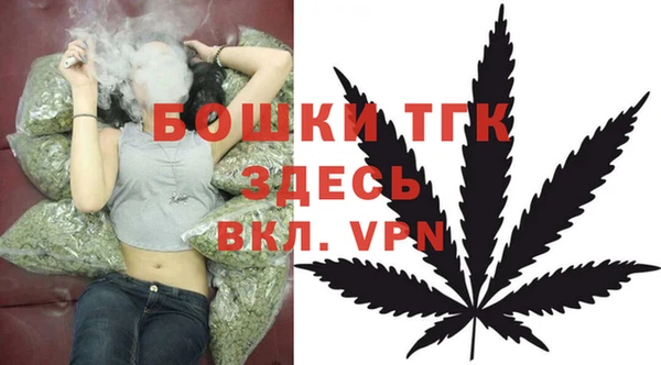 дживик Балахна